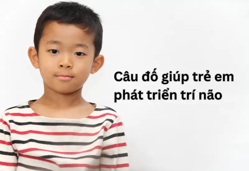 Những câu đố trẻ em 6-7-8 tuổi kích thích trí tư duy của bé