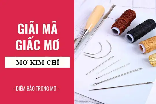 Nằm mơ thấy kim khâu: Giải mã ý nghĩa và điềm báo tiềm ẩn.