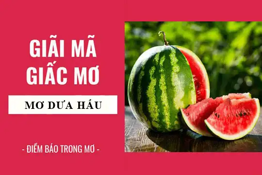 Nằm mơ thấy trái dưa hấu: Giải mã ý nghĩa và điềm báo may mắn.