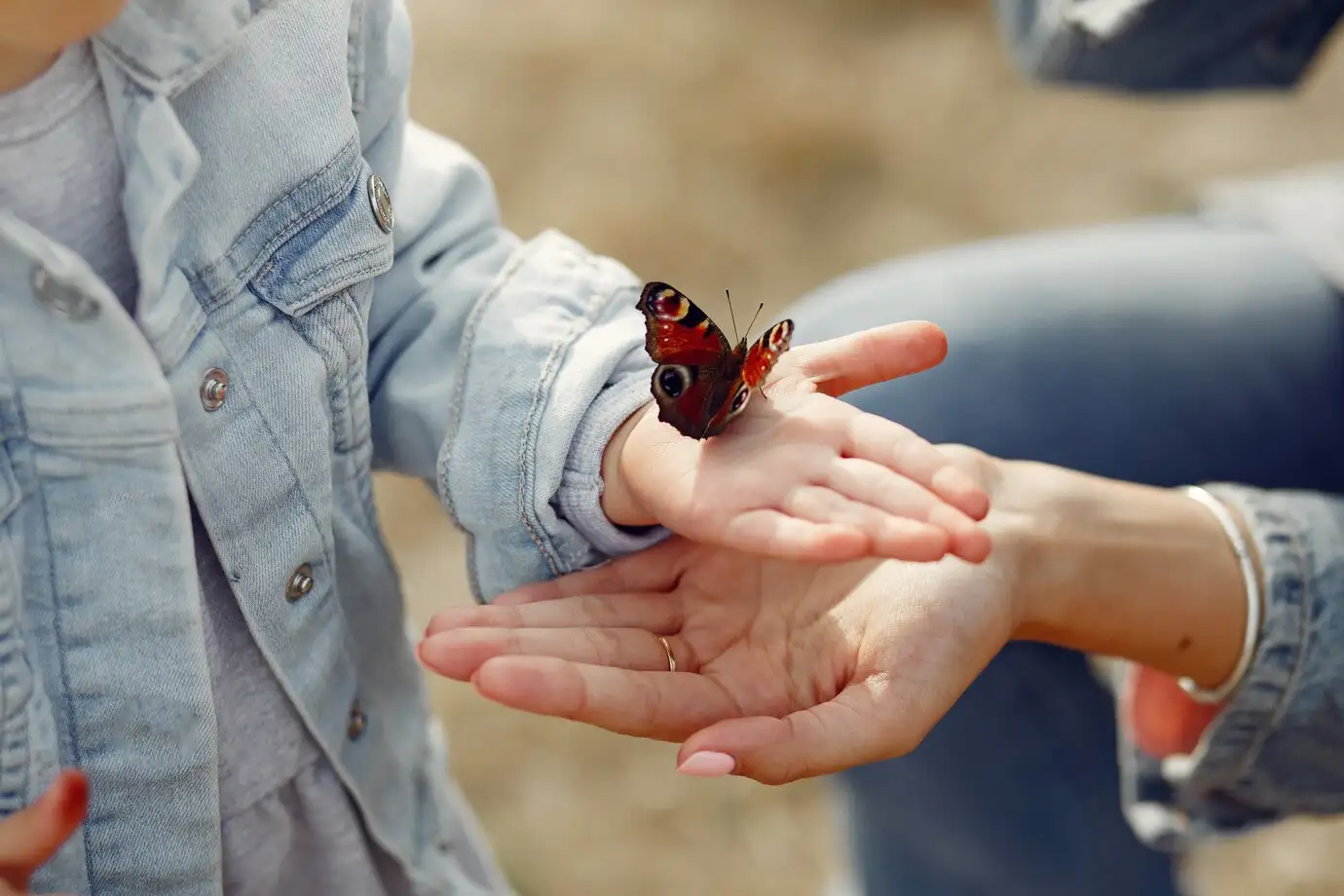 Mơ thấy bướm: Giải mã ý nghĩa và điềm báo về sự thay đổi và may mắn.