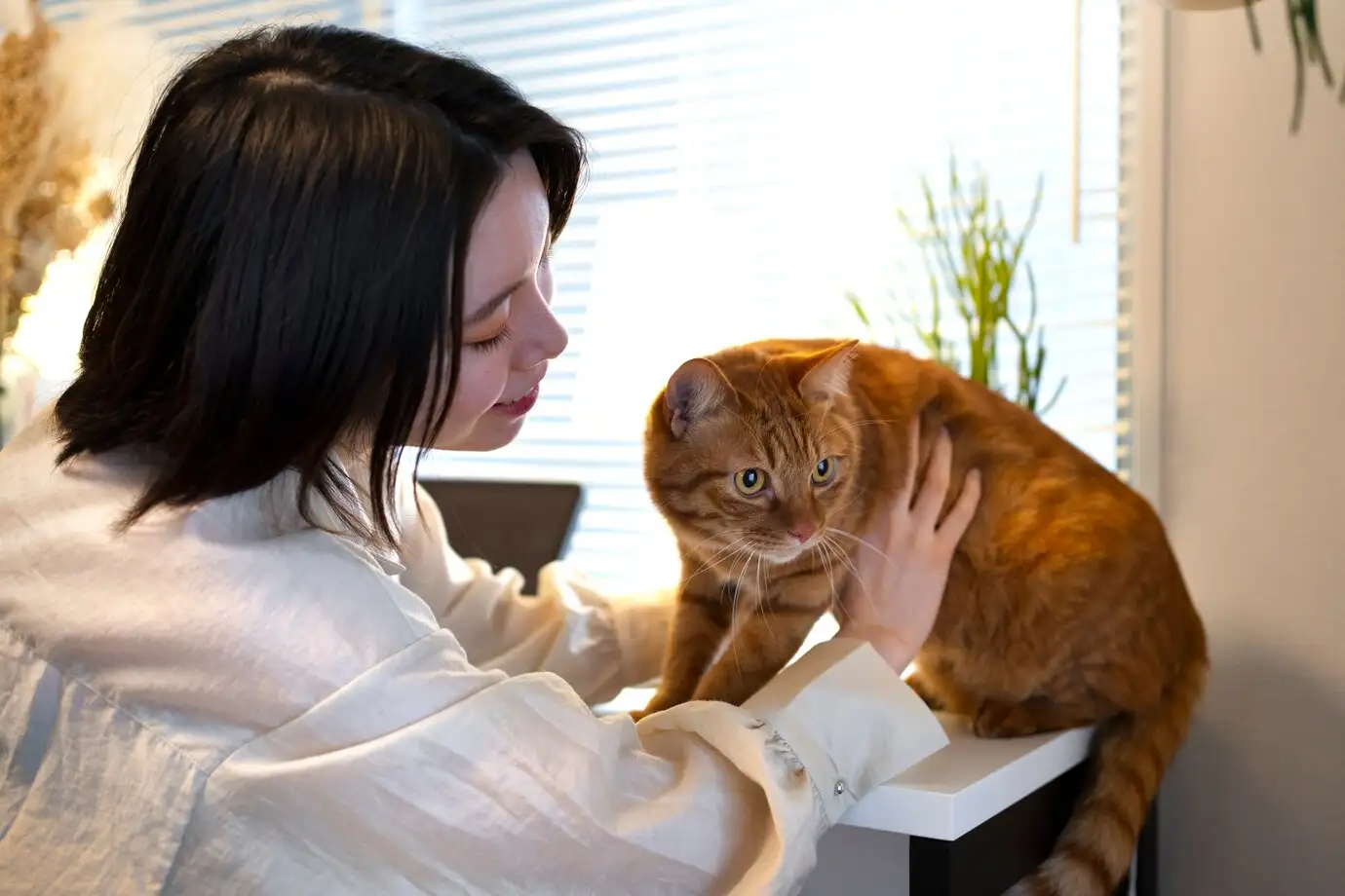 Khám phá ý nghĩa và điềm báo của mèo cắn tay phải theo quan niệm phong thủy và tâm linh.