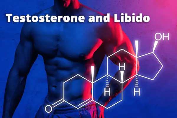 Libido là gì? Hiểu biết và ứng dụng trong cuộc sống gia đình