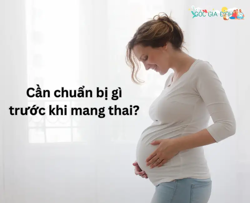 Cần chuẩn bị gì trước khi mang thai: Hành trang làm mẹ