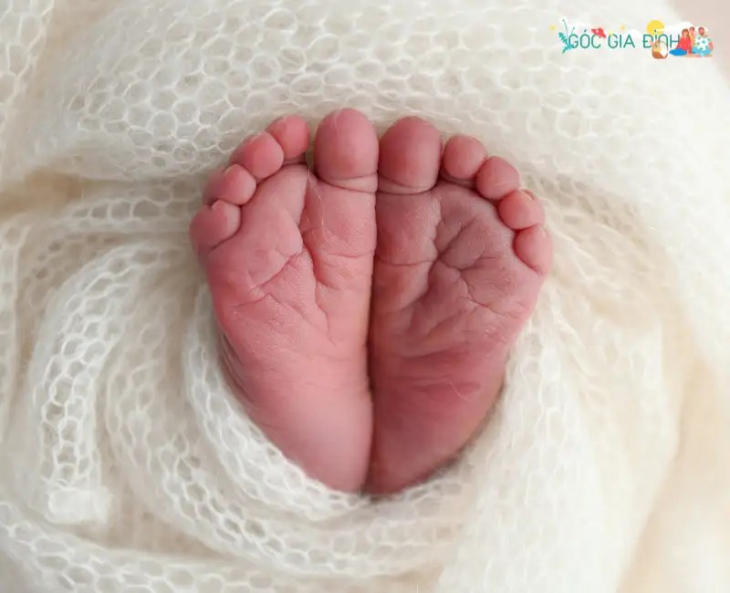 Con sinh ra trước khi kết hôn: Những điều cần biết