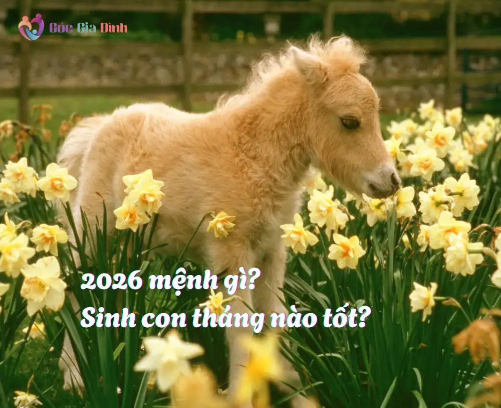 Năm 2026 mệnh gì? Sinh con năm 2026 tháng nào tốt?